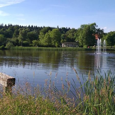 Aussicht Apartment Goslar Bagian luar foto