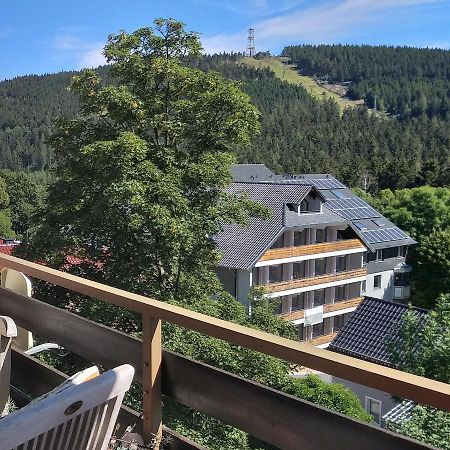 Aussicht Apartment Goslar Bagian luar foto