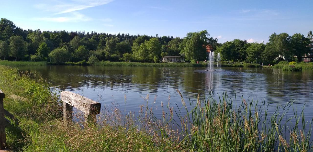 Aussicht Apartment Goslar Bagian luar foto