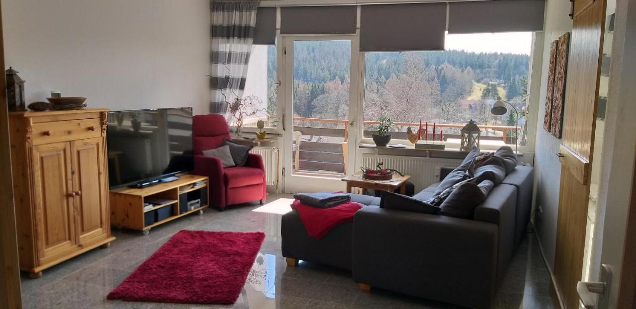 Aussicht Apartment Goslar Bagian luar foto